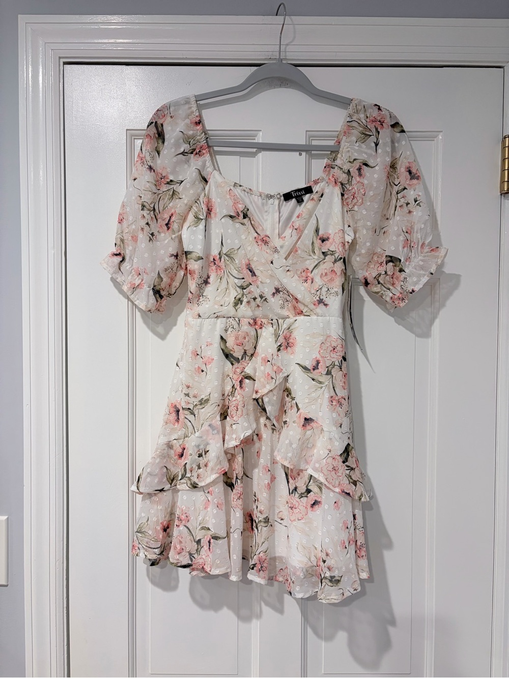 Trixxi Floral Chiffon Dress XS NWT Cream Pink Ruffle Puff Sleeve